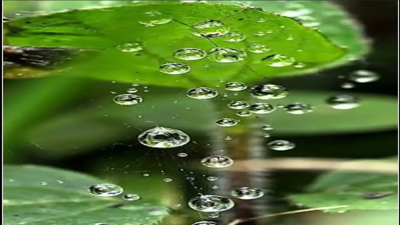 الأرصاد الجوية تتوقع أجواء باردة وأمطاراً متفرقة الأربعاء مع ارتفاع تدريجي للحرارة